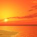 DAVID BAT Tshi15 - Facebook