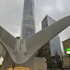 David Batan - @david.batan - TikTok