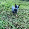 David bachan - @david.bachan - TikTok