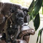 David Bath - @manhattanminiature - Instagram