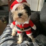 David Bath - @trigger_bath - Instagram