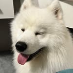 David Bathory - @zhangyu74188 - Instagram