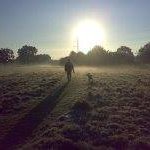 David Henri Batiste - @david_batiste - Instagram