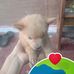 David Batra - Facebook