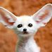 David Batson - Facebook