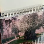 David Batson - @davidjbatson - Instagram