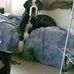 David Batteau - Facebook