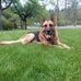 David Batton - Facebook