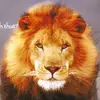 David Batts - @david.batts1 - TikTok