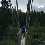 david Bauch - @david_tv_hd - Instagram