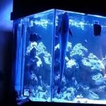 David Baucom - @baucomdavid - Instagram