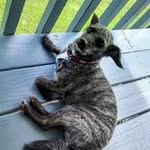 David Baucom - @dbaucom60 - Instagram