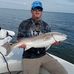 David Bauder - Facebook