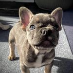 David Bauder - @korean843 - Instagram