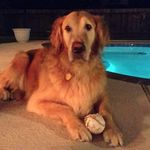 David Baudry - @dabaudry - Instagram