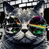 david bauer - @david.bauer09 - TikTok