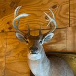 David Baugh - @southerncountryhuntinginc - Instagram