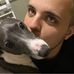 David Bauman - Facebook