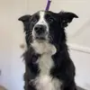 David Bauman - @david.bauman1 - TikTok