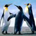 David Baumwald - Facebook