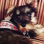 David Bave Poole - @davespack._ - Instagram