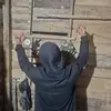 David - @davidbawok - TikTok