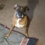 david baxley - @baxley7930 - Instagram