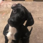 David Baxter - @davidphillipsbaxter - Instagram
