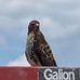 David Beane - Facebook