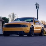 David Beane - @goldenish_5.0 - Instagram