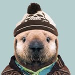 David Beard (Jnanasalin) - @davidmakesnicethings - Instagram