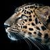 David Beas - Facebook