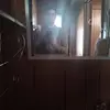 David Beason - @david.beason4 - TikTok