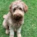 David Beath - Facebook