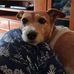 David Beath - Facebook