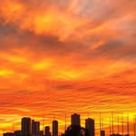 David Beathard - @davidbeathard - Instagram