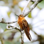 David Beatty - @david_beattty - Instagram