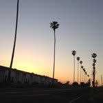 David Beaulieu - @frenchtycoon - Instagram