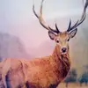 David_beaulieu - @david_beaulieu22 - TikTok