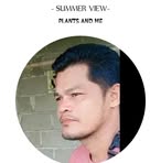 David Beck - Facebook