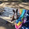 David Beck - @david.beck88 - TikTok