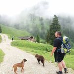 David Becker - @davidbecker84 - Instagram