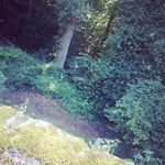 David Beddoes - @davidbeddoes2018 - Instagram