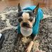 David Bedgood - Facebook
