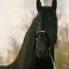 Anna xxx - @davidbednarczyk - TikTok