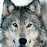 David Beecham - @beechamdavid - Instagram