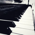 David Beechey - @beechey.david - Instagram