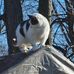 David Beedle - Facebook