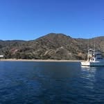 David Beek - @davidbeek3 - Instagram