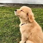 david beek - @beek.david - Instagram